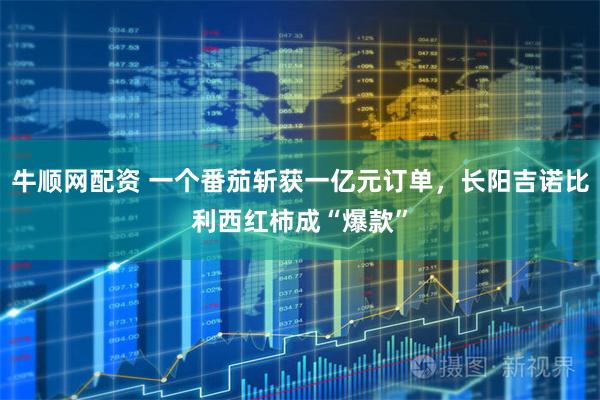 牛顺网配资 一个番茄斩获一亿元订单，长阳吉诺比利西红柿成“爆款”