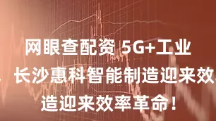 网眼查配资 5G+工业互联网,长沙惠科智能制造迎来效率革命!