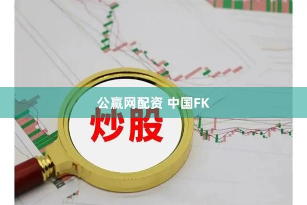 公赢网配资 中国FK