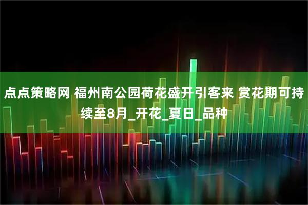 点点策略网 福州南公园荷花盛开引客来 赏花期可持续至8月_开花_夏日_品种